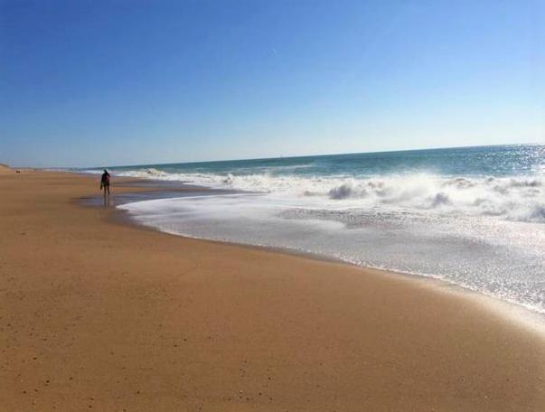 Appart Breti Plage 2 - Duplex ブルティニョール・シュル・メール エクステリア 写真